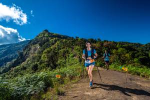 BIB: 
                            <button type="button" onclick="openModal(19034708)" class="btn btn-primary btn-sm float-right btn-popup" data-toggle="modal" data-target=".modal-high-quality">
                        <i class="fas fa-shopping-cart"></i> Add to Cart
                    </button>
                                            <button type="button" onclick="isThisMe(19034708, true)" class="btn btn-success btn-sm float-right btn-popup btn-isme hidden" data-toggle="tooltip" data-placement="bottom" title="นี่คือรูปของคุณใช่ไหม คลิกที่นี่เพื่อเอาเข้าอัลบั้ม">
                        <i class="fas fa-plus"></i> Add to album
                    </button>
                    <button type="button" onclick="isThisMe(19034708, false)" class="btn btn-warning btn-sm float-right btn-popup btn-isnotme hidden">
                        <i class="fas fa-ban"></i> Remove from album
                    </button>